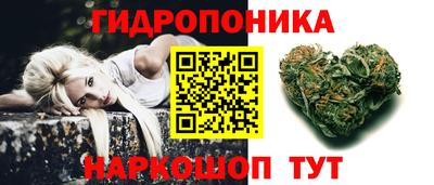 молекула духа Жуковский